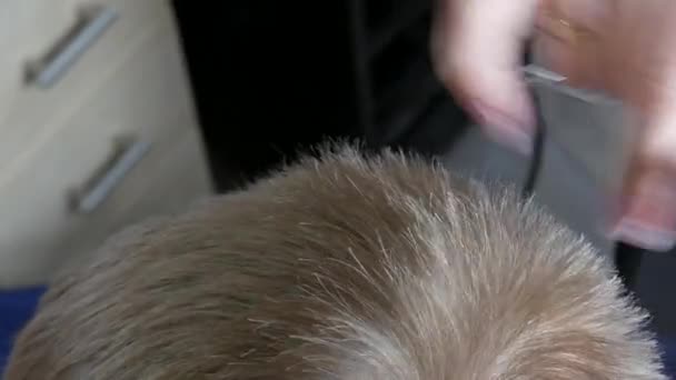 De kappers vrouwen handen met de hulp van speciale schaar knippen de jongens blond haar, het corrigeren van zijn kapsel met een kam close-up uitzicht — Stockvideo