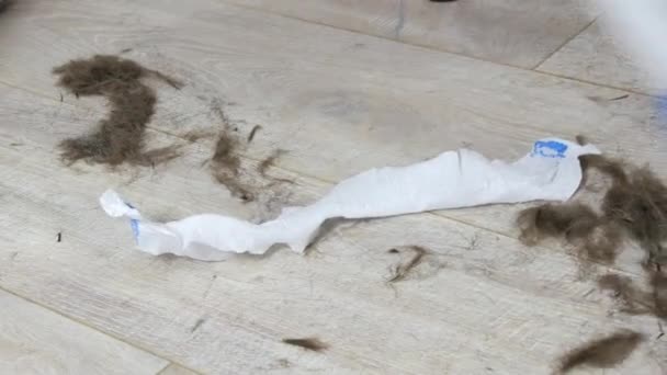 Broom dan sendok menyapu banyak rambut manusia dari lantai di sebuah toko cukur setelah memotong — Stok Video