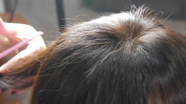Γυναίκα κομμώτρια κόβει τα μαλλιά του πελάτη. Κομμωτήριο σε επαγγελματικό κομμωτήριο. Κομμωτήριο κούρεμα καστανά μαλλιά με ψαλίδι — Αρχείο Βίντεο
