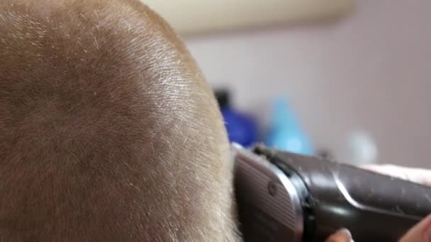 Friseurinnen rasieren sich in einem professionellen Friseursalon mit einem elektrischen Rasiermesser zum Kunden des rothaarigen Mannes — Stockvideo