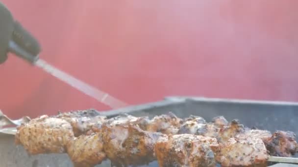 Finom zamatos húsa shish kebab nyárson sült krumpli füst — Stock videók