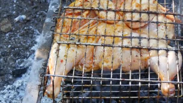 Весь сочный со специями жареный цыпленок табака или тапака на летнем пикнике — стоковое видео