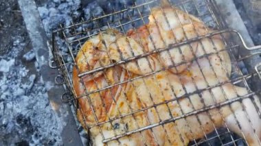 Yaz pikniğinde baharatlı ızgara tavuk tabakası ya da tapaka.