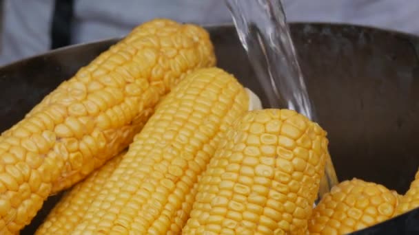 Boiled ripe yellow corn. A large number of corn heads in a huge saucepan are poured with water for further cooking — Stock Video