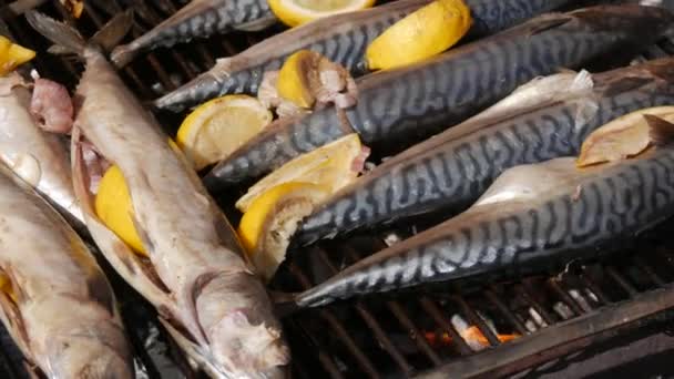 Raw fish ready for grilled mackerel stuffed with lemons. Fish grill, street food festival, picnic in nature — Stock Video