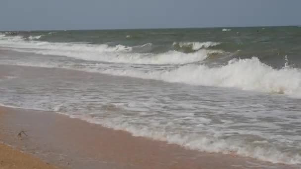 Ondes fortes avec mousse sur le rivage de la mer d'Azov, Ukraine — Video