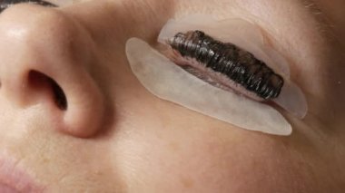 Yetişkin bir kadın, profesyonel bir güzellik salonunda modern kirpik temizleme prosedürüyle karşı karşıya. Usta kirpik kıvırma işlemi sırasında kirpiklere özel bir fırçayla siyah boya sür.