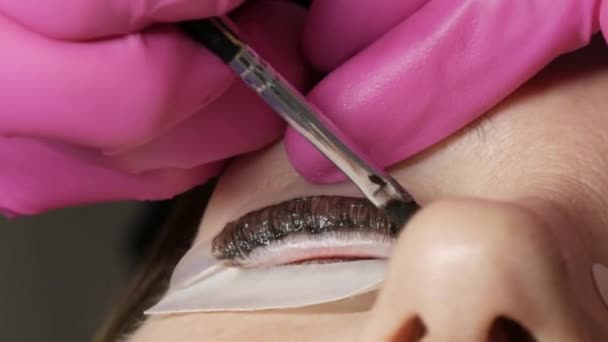 Adult woman face on modern eyelash lamination procedure in professional beauty salon. Master apply black dye paint to the eyelashes during the eyelash curling procedure with a special brush close up. — Stock Video