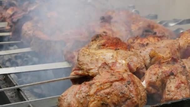 Enormi pezzi di carne alla griglia o kebab su una griglia di fuoco a un picnic in natura — Video Stock