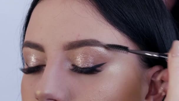 Estilista maquillaje artista pinta las cejas a un joven hermosa chica modelo — Vídeos de Stock