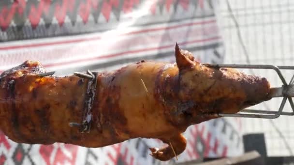 L'arrosto di maiale sta girando su uno spiedo. Carne di maiale giovane vista da vicino — Video Stock