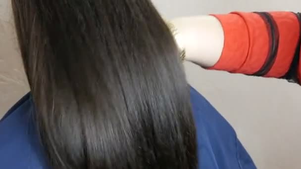 Lång, frisk, glänsande tjockt hår av en ung kvinna med mörk färg — Stockvideo