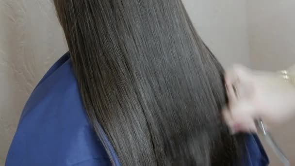 一个深色的年轻女子的长长的、健康的、闪亮的浓密的头发 — 图库视频影像