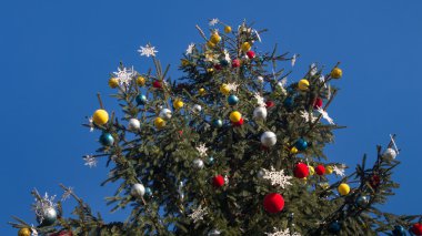 Mavi gökyüzü arka plan üzerinde Noel ağacı