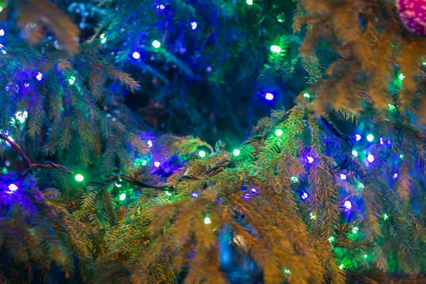 Vánoční lesklé barevné osvětlení na jedle — Stock fotografie