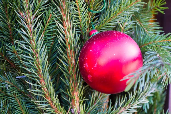 Christmas decorations on background of fir — Stock Photo, Image