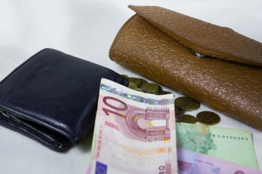 Euro ve iki deri cüzdan