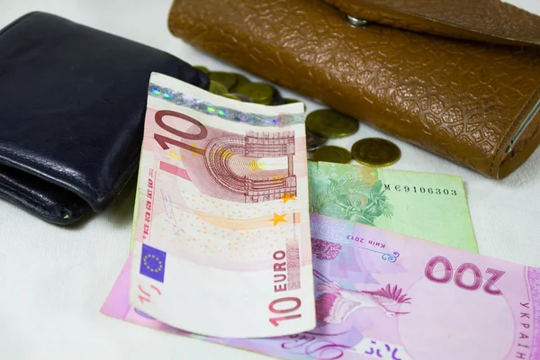 Euro ve iki deri cüzdan