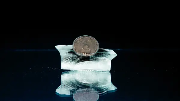 Fünf Cent im Eis — Stockfoto
