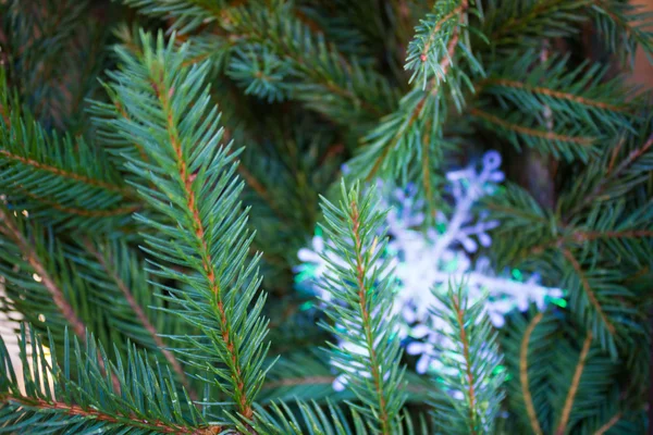 전나무의 배경에 크리스마스 장식 — 스톡 사진