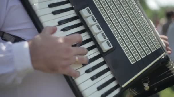Playing in Accordion — Stock Video