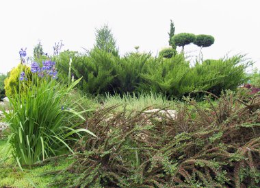 Rock Garden in Yalta (Kırım)