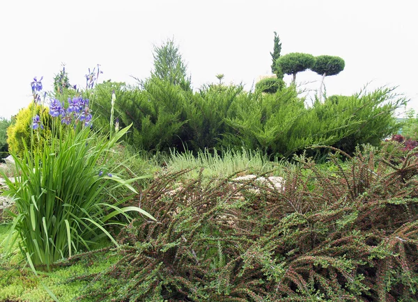 Jardim de rocha em Yalta (Crimeia ) — Fotografia de Stock