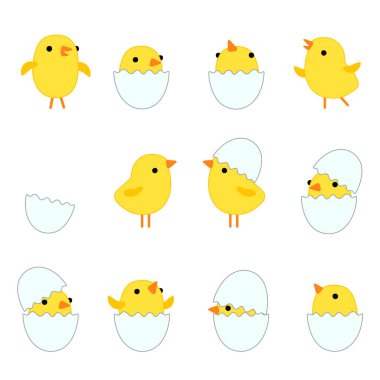 Farklı pozlarda yumurta kabuklu komik sarı tavuklar. Paskalya tasarımı için beyaz arkaplanda izole edilmiş vektör illüstrasyonu.