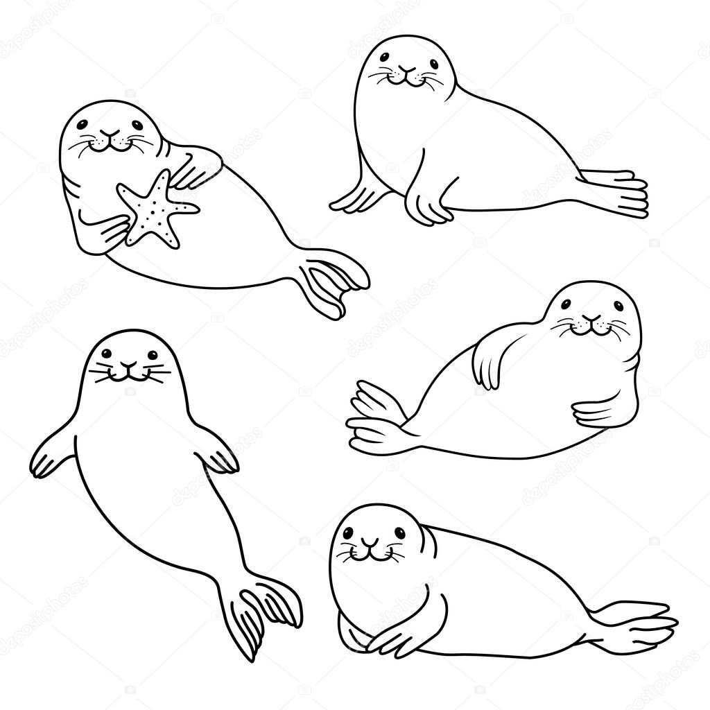 Set of fur seals. Vector hand drawn fur seal black outline isolated on white background. Ocean animal illustration.