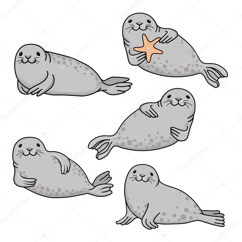 Set of gray fur seals. Vector hand drawn cute cartoon fur seal  isolated on white background. Ocean animal illustration.