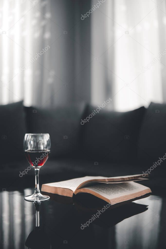 Moody Evening with Wine and books