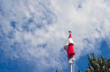 Endonezya ve Monako ulusal bayrağı mavi ve yeşil arkaplanlı