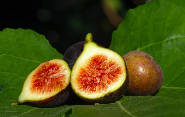 Close Frutas Frescas Maduras Lata Fig Frutas Foco Raso Nome — Fotografia de Stock