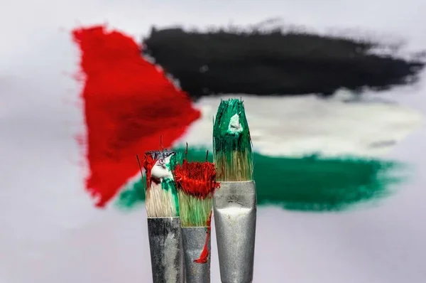 Trois Pinceaux Devant Peinture Déconcentrée Drapeau Palestinien Avec Fond Papier — Photo