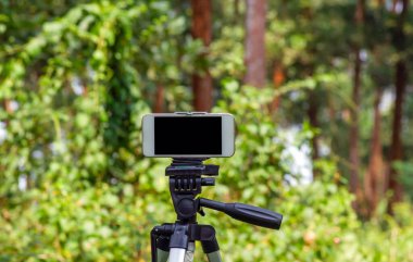 A mobile phone mounted on a tripod capturing image of natural forest in Wonogiri, Indonesia.