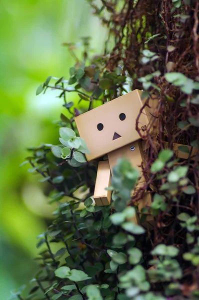 Cardboard Garden Bokeh Background Shallow Focus — Stock Photo, Image