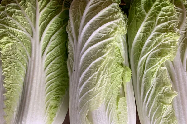 Fresh Nappa cabbage or Chinese cabbage (Brassica pekinensis)