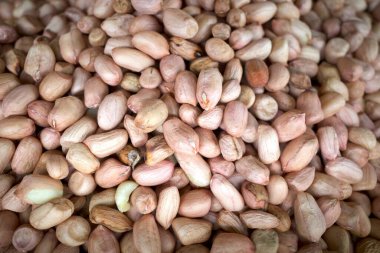 Yer fıstığı ya da maymun fındığı olarak da bilinir ve taksonomik olarak Arachis hipogaea olarak sınıflandırılır..