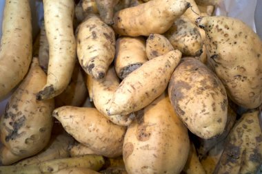 Yogyakarta, Endonezya 'daki süpermarkette bir yığın tatlı patates, Ipomoea batata..