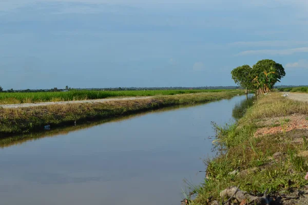 Water drainage that use for rice paddy field watering system. Malaysian local plantation.