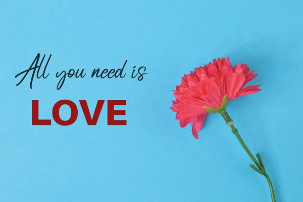 Červený Květ Nad Modrým Pozadím Napsaný Všechny Potřeba Láska — Stock fotografie