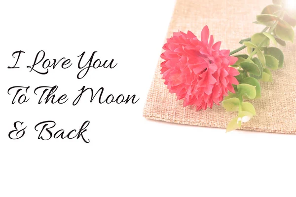 Kärlekscitat Skrivet Med Love You Moon Back — Stockfoto