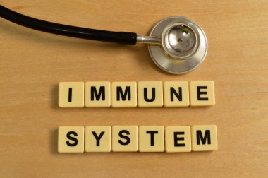 Metin IMMUNE SİSTEM ile alfabe harflerinin üst görünümü. Sağlık kavramı