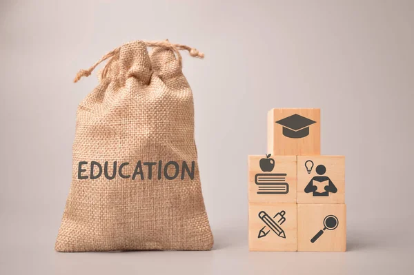 Money bag written with EDUCATION and wooden blocks with education icons