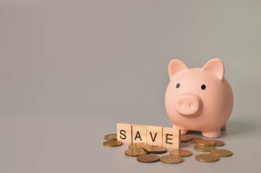 Bir yığın bozuk para, domuz kumbarası ve metin tasarruflu tahta bloklar.