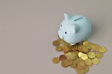 Bozuk paraların ve kumbaraların üst açı görüntüsü. Boşluğu kopyala