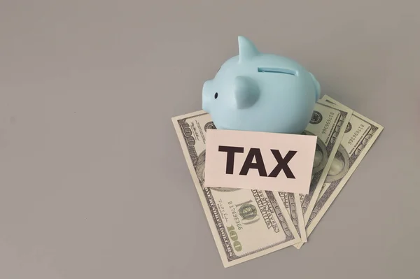 Sparschwein Geldscheine Und Notizzettel Mit Tax — Stockfoto
