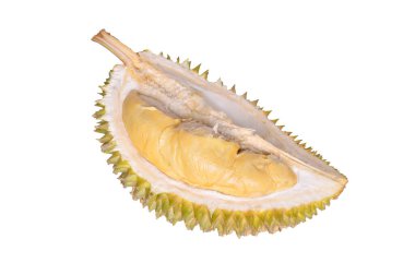 Beyaz arka planda izole edilmiş taze Durian meyvesi. Durian meyvelerin kralı olarak bilinir.