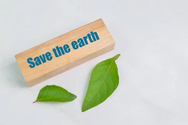 Foglie Verdi Blocco Legno Con Testo Salva Terra — Foto Stock