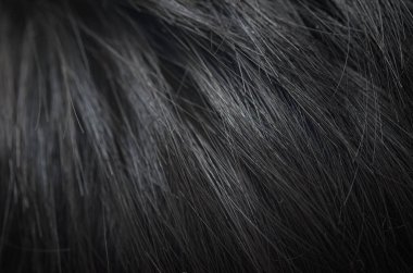 Düz, zarif, koyu renk saçlar çapraz bir akış içinde yakalanıyor ve güzellik ve refah için sofistike ve minimalist bir zemin oluşturuyor..